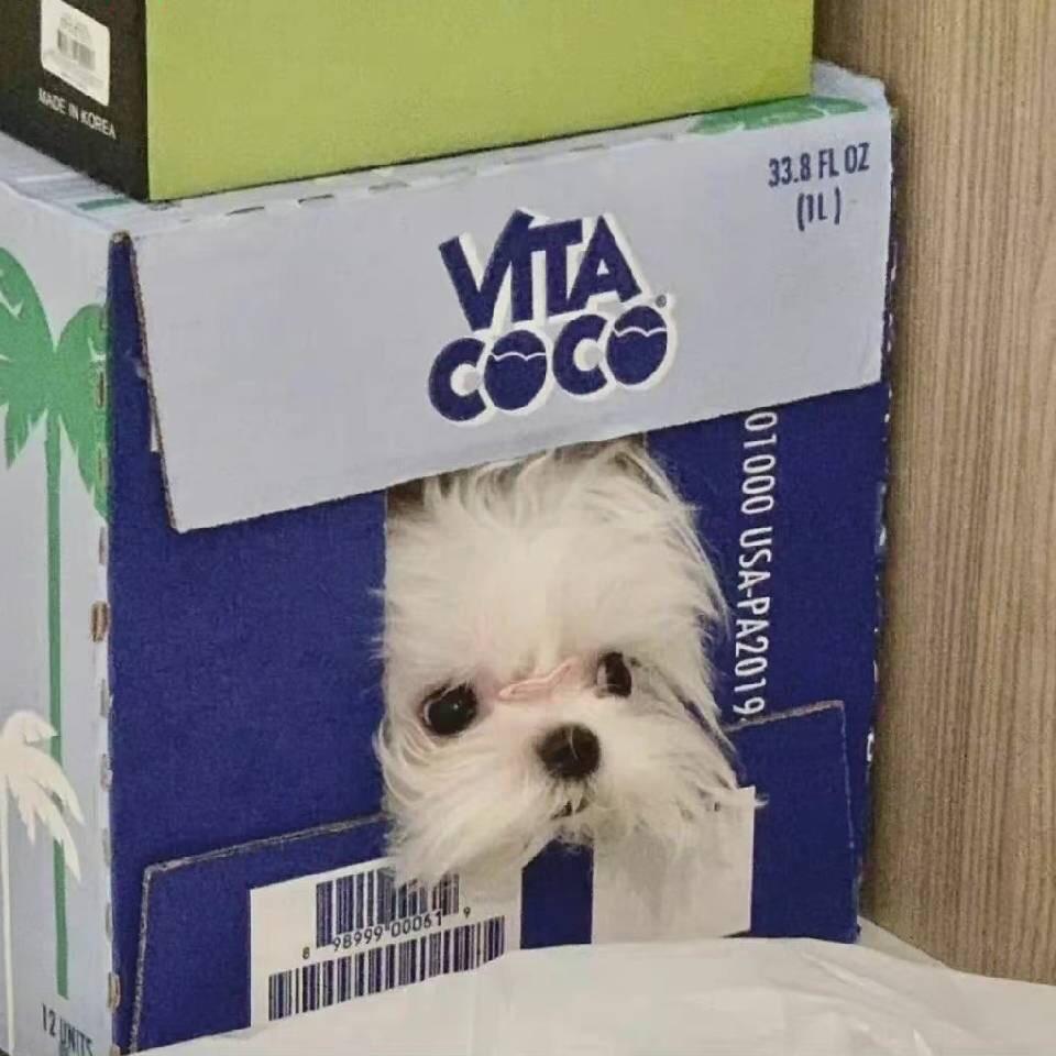 宋木亮的小跟班