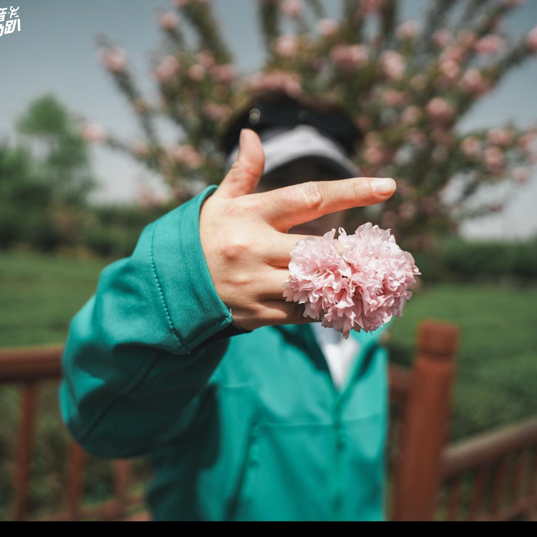 一直向上的老王