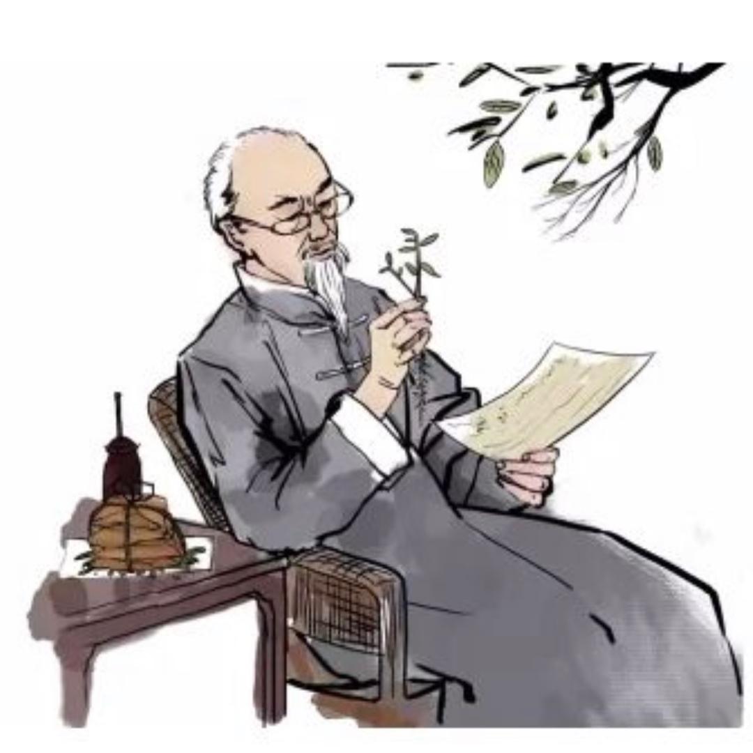 雨花奕叶