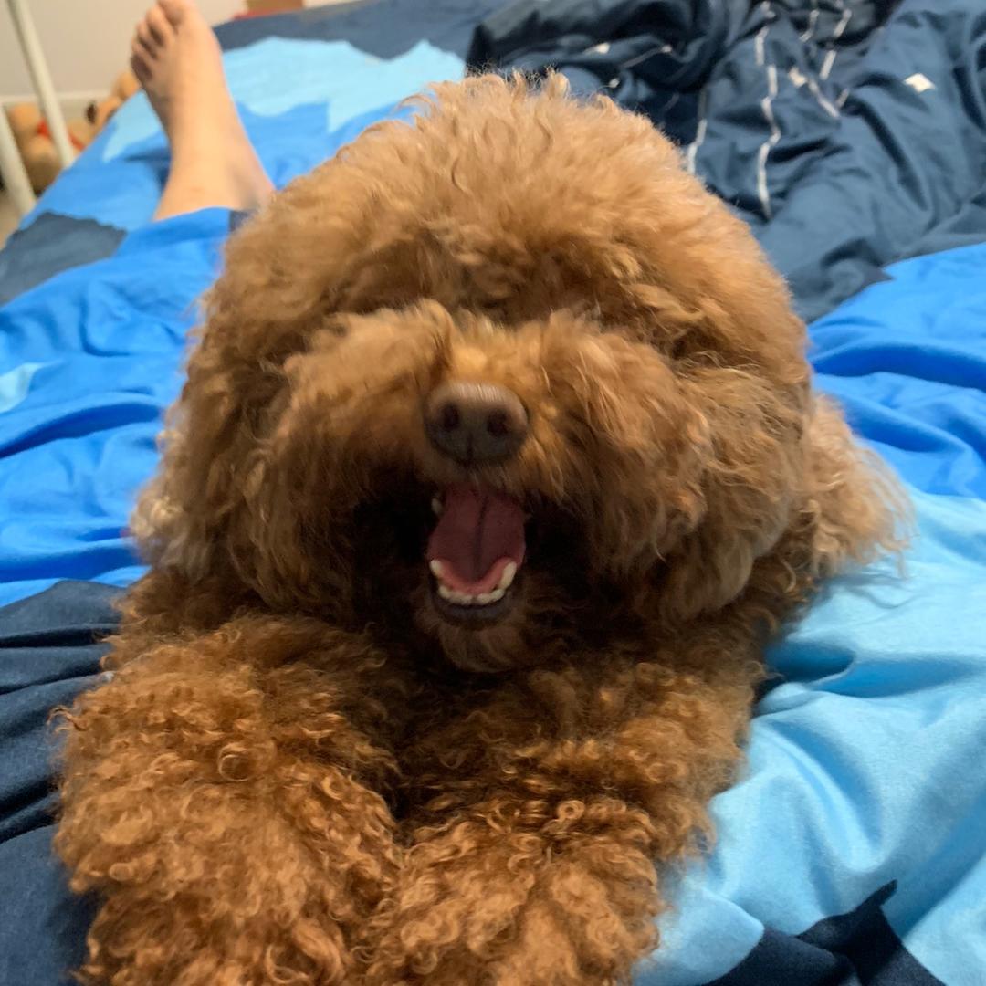 零零