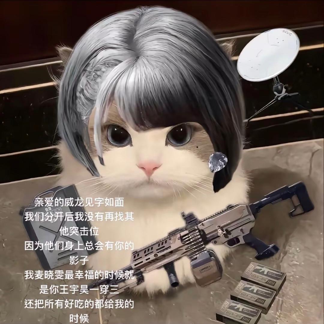 舒芙佳（三角洲行动3*3）