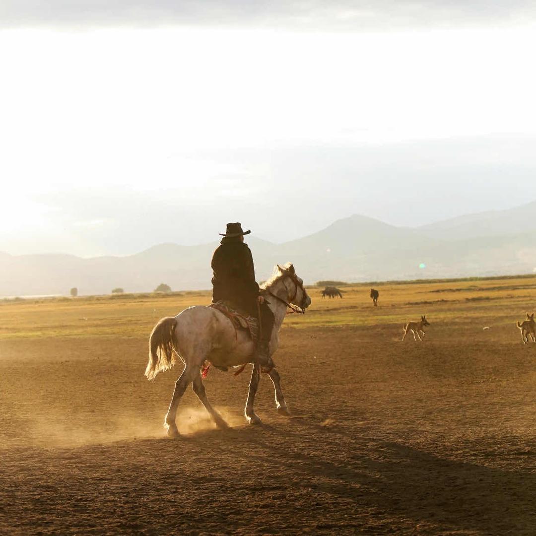 ㅤㅤ￴￴￴￴￴脚踩陈泽吃肯德