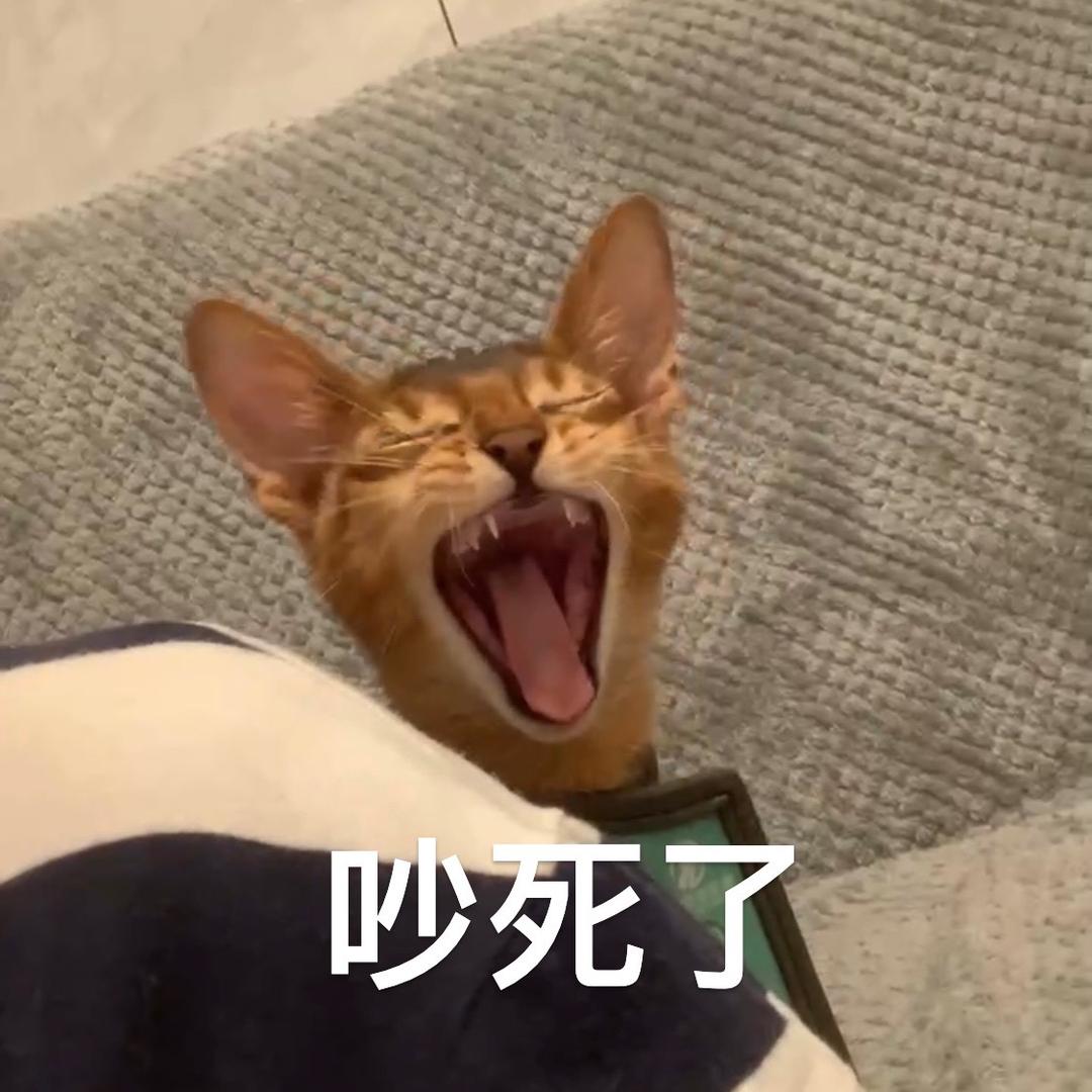 小咩阿