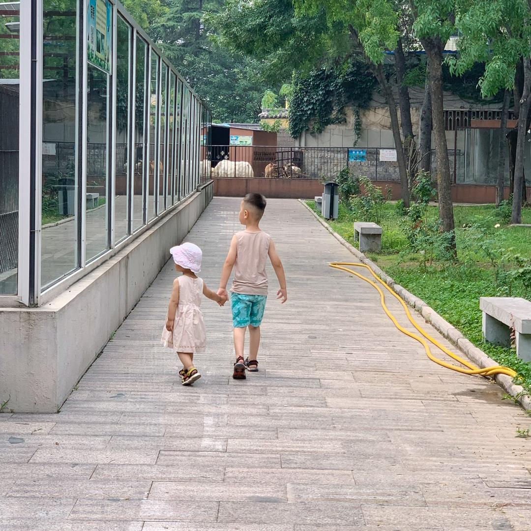 陶妮兄妹爱画画