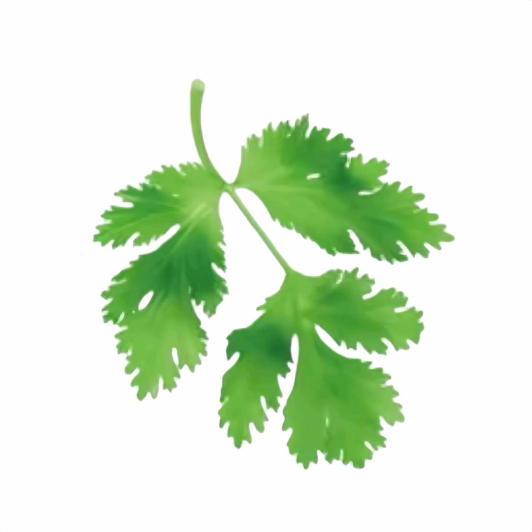 敢为人鲜鲜果槟榔-许昌直售