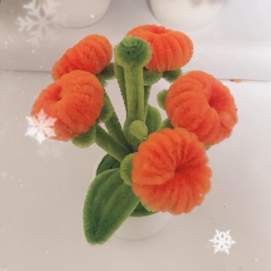 晨晨🌹💕