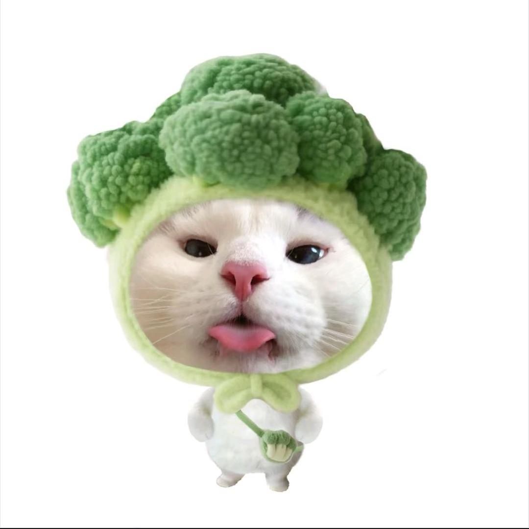 重生之我在兴义当老板