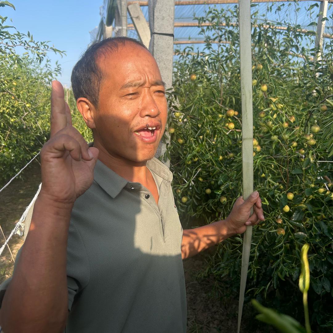 红果果