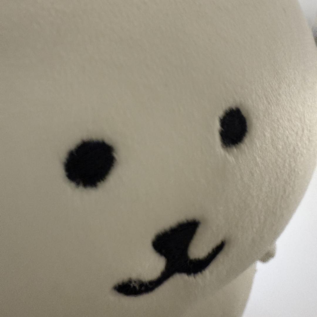 做梦要当煤老板