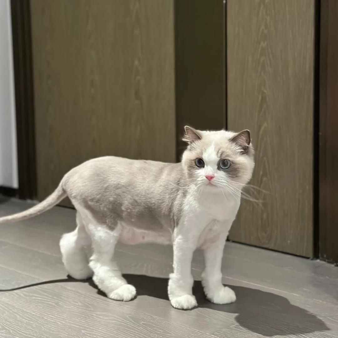 Hi