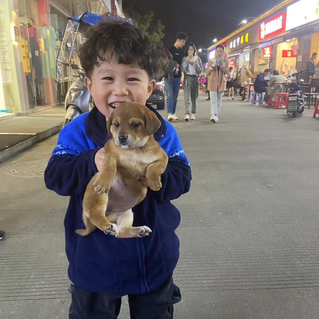 精神小伙