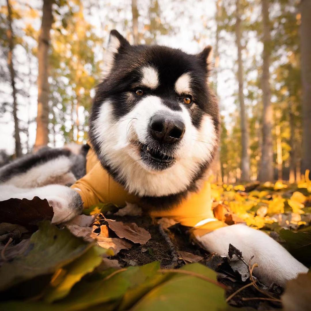 打小儿就看你行