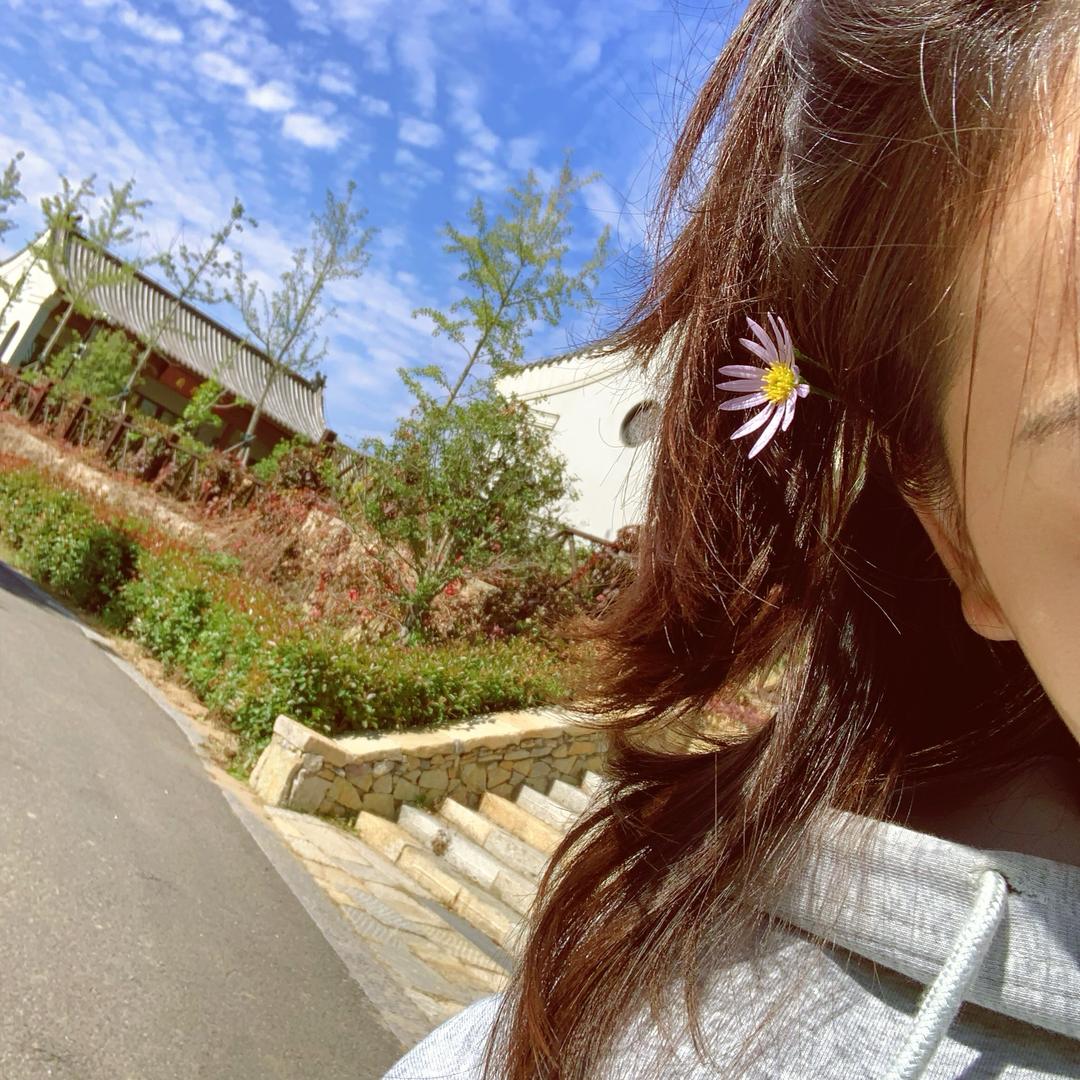 . 🧚‍♀️
