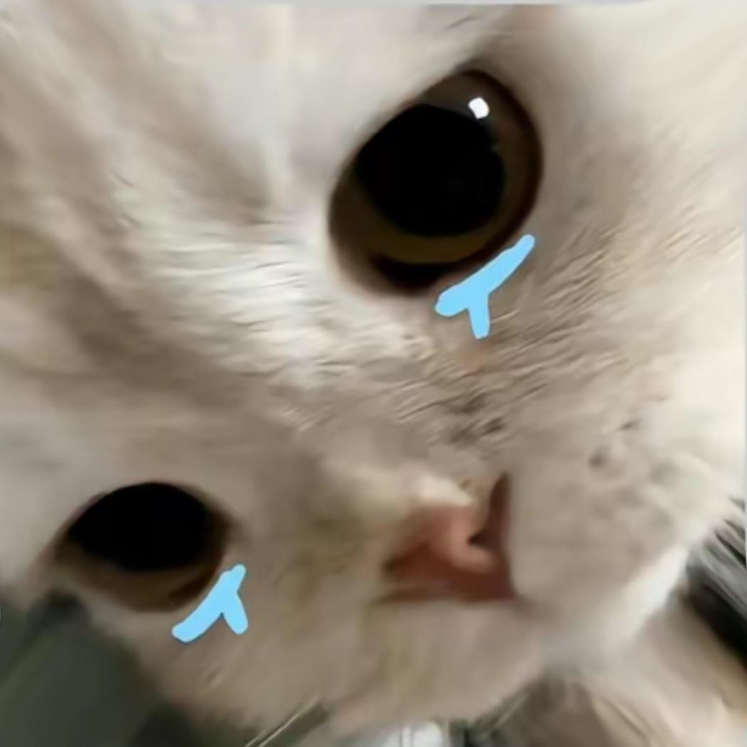 曲恩蓓怎么这么好看