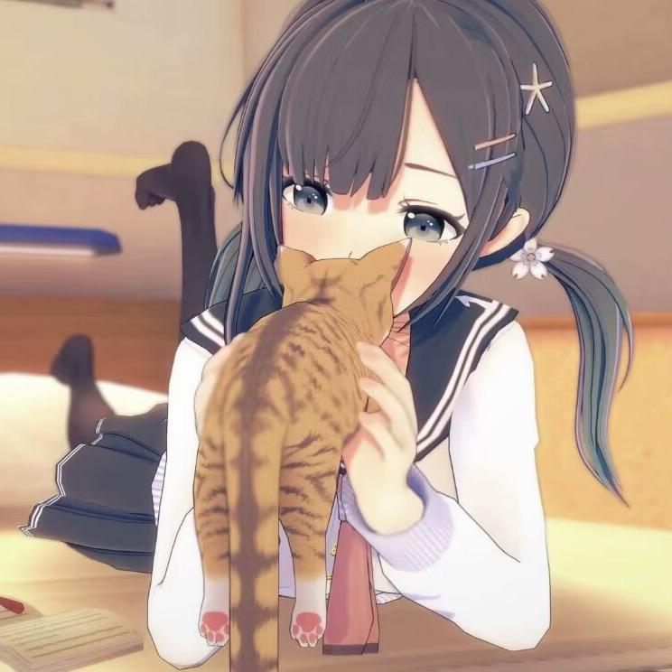 貓貓