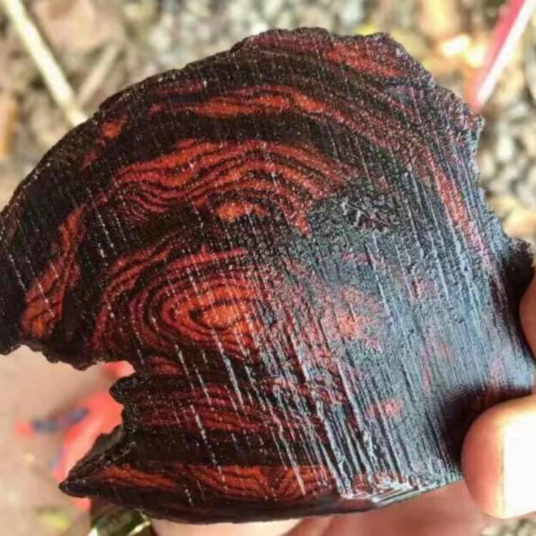 海南黄花梨海南沉香海南红降