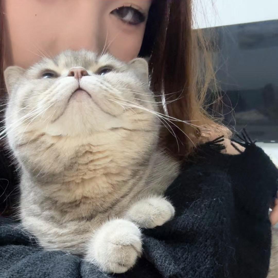 鸭血