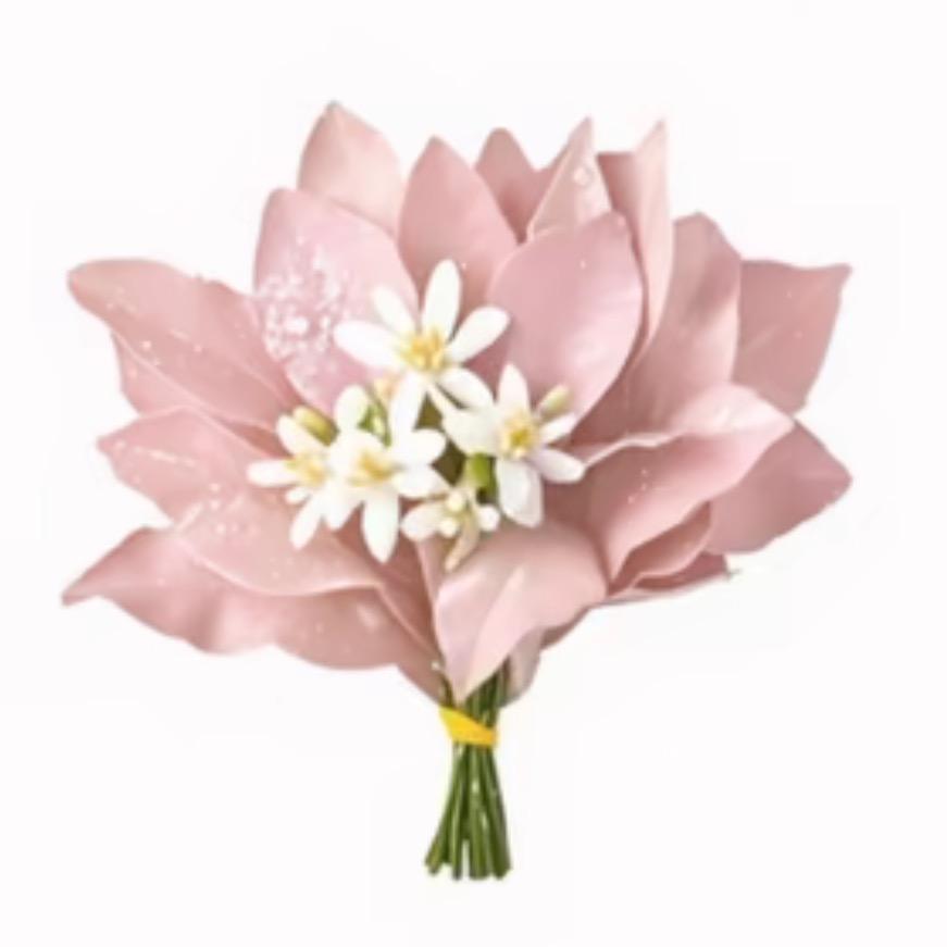 奶酪ʕ̯•͡˔•̯᷅ʔ