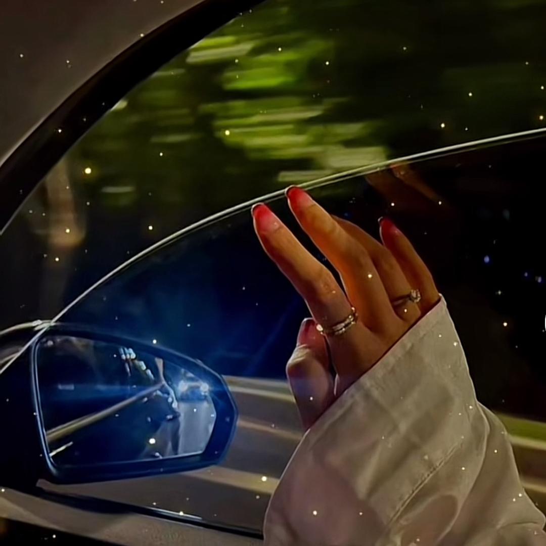 凌晨一点的猫༺