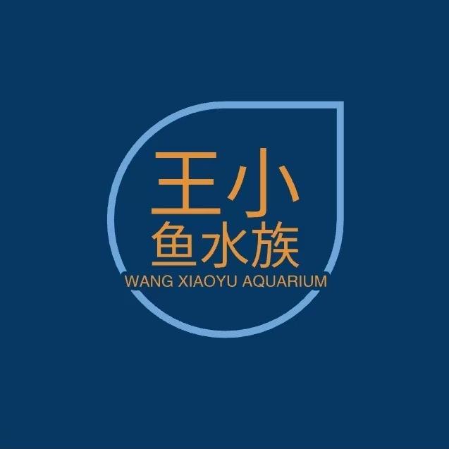 王小鱼水族过滤