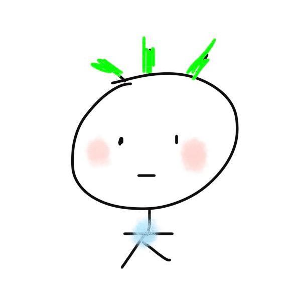 Q同学