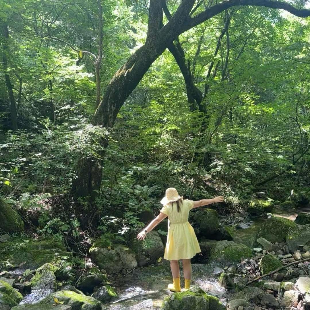 做梦发财致富了