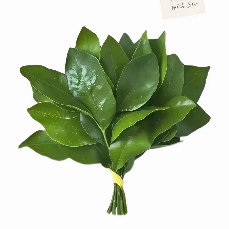 小蒋睡不醒