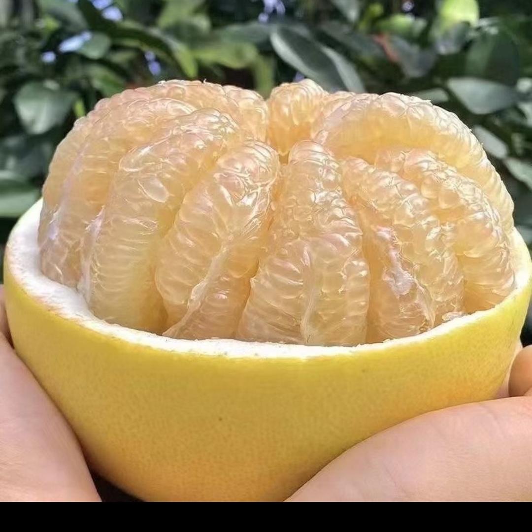 玉环优鲜达果园
