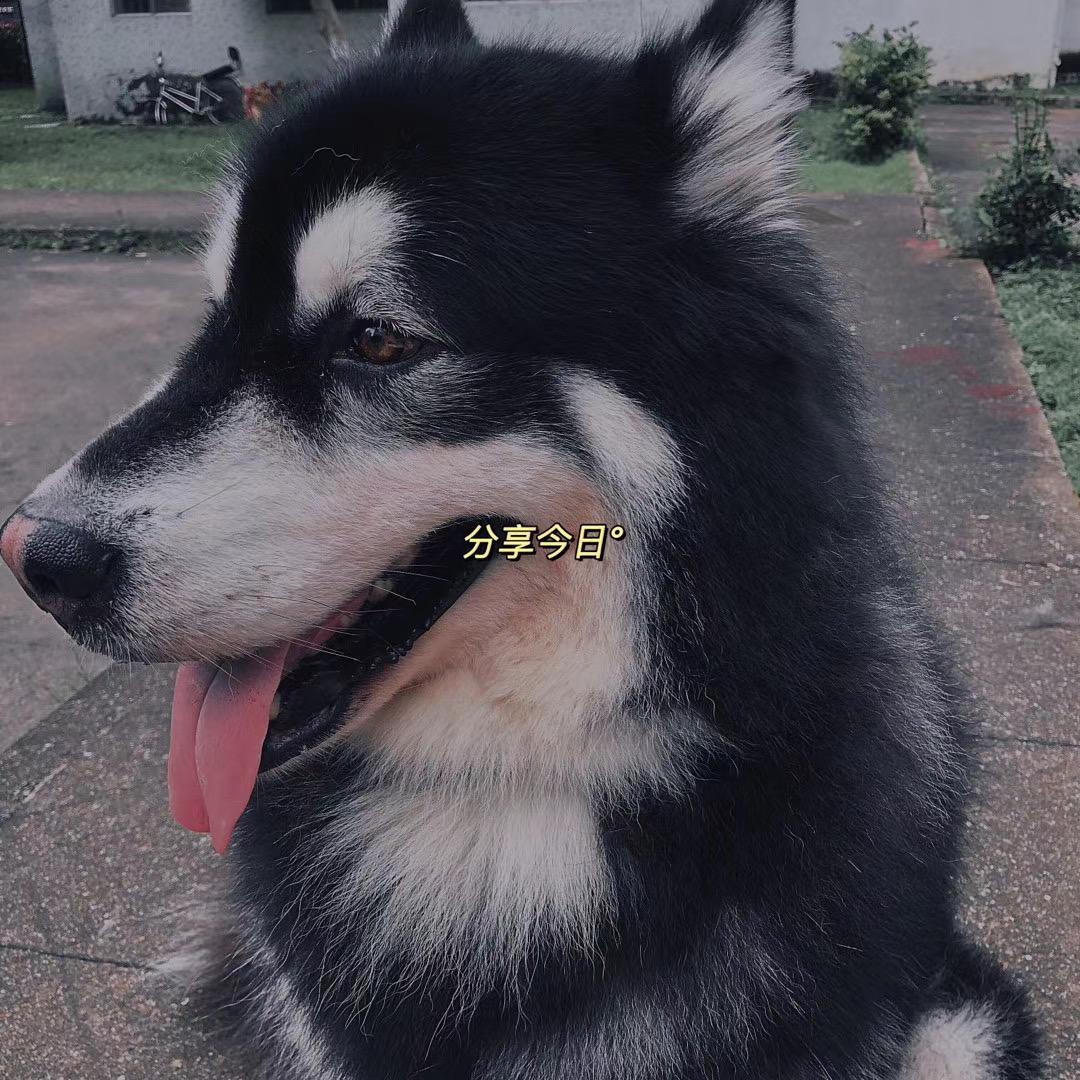 KAI