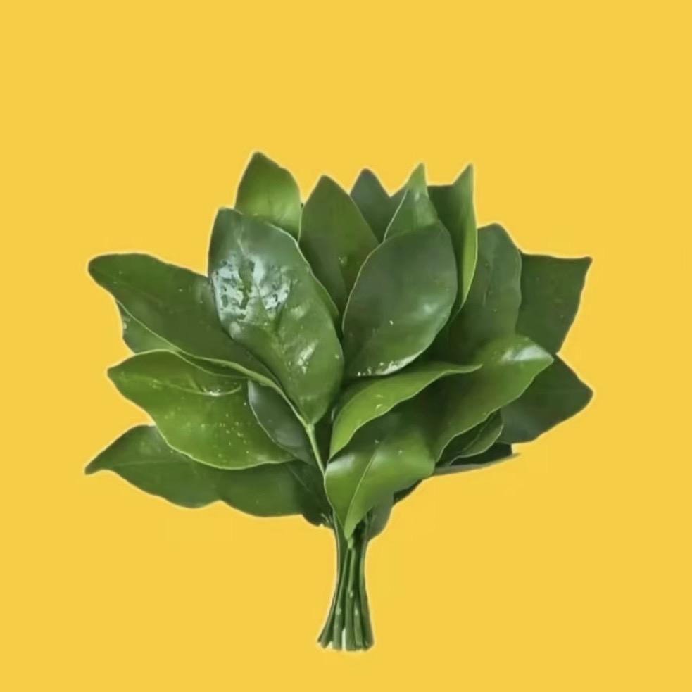 徐茉莉🦩