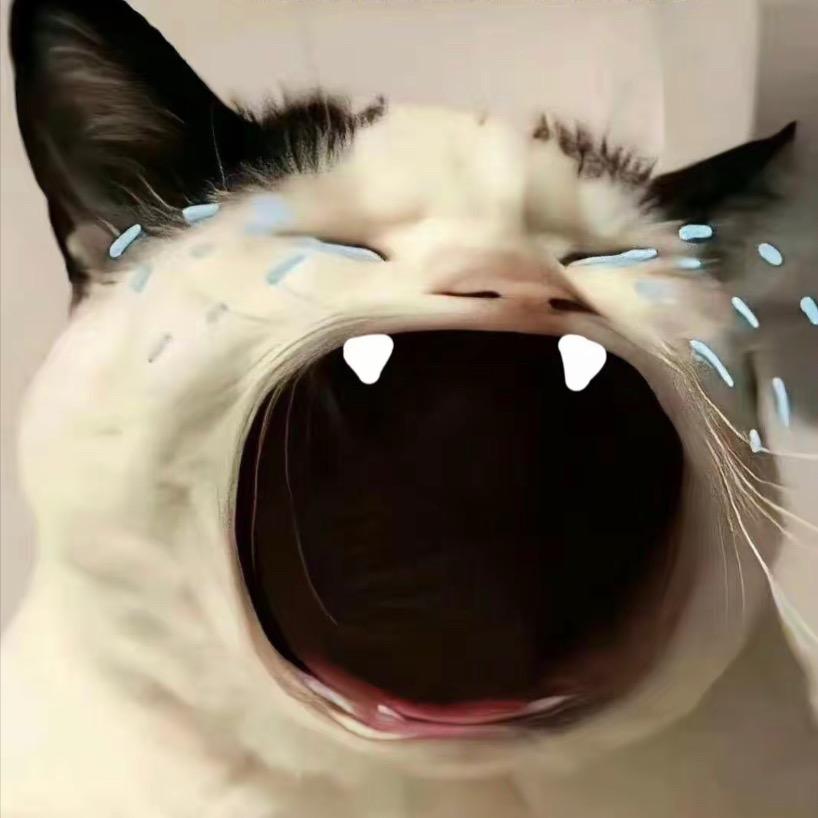 小hhh