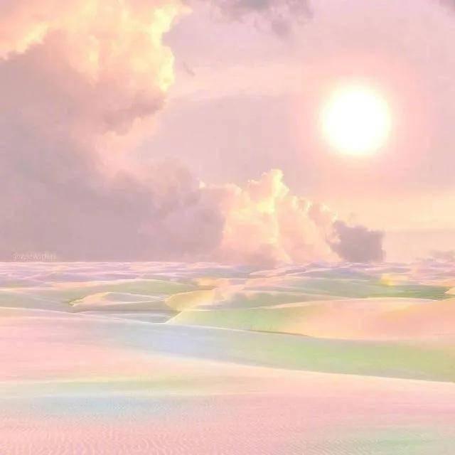 盛夏菠萝🍍-my