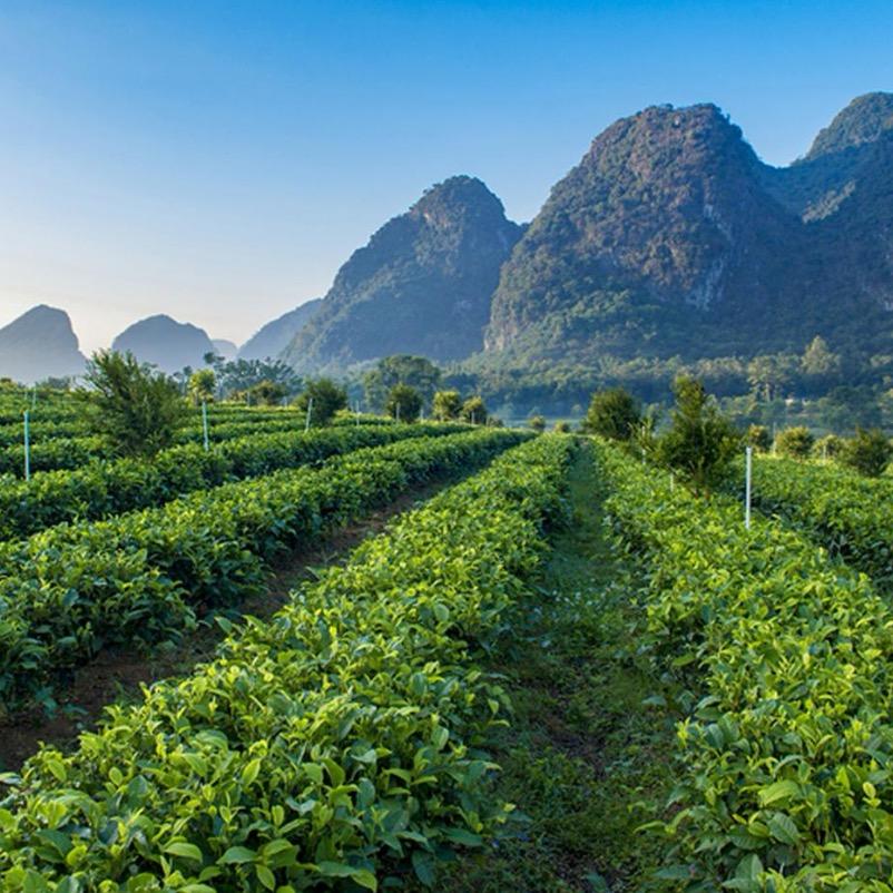 传世之光个护店