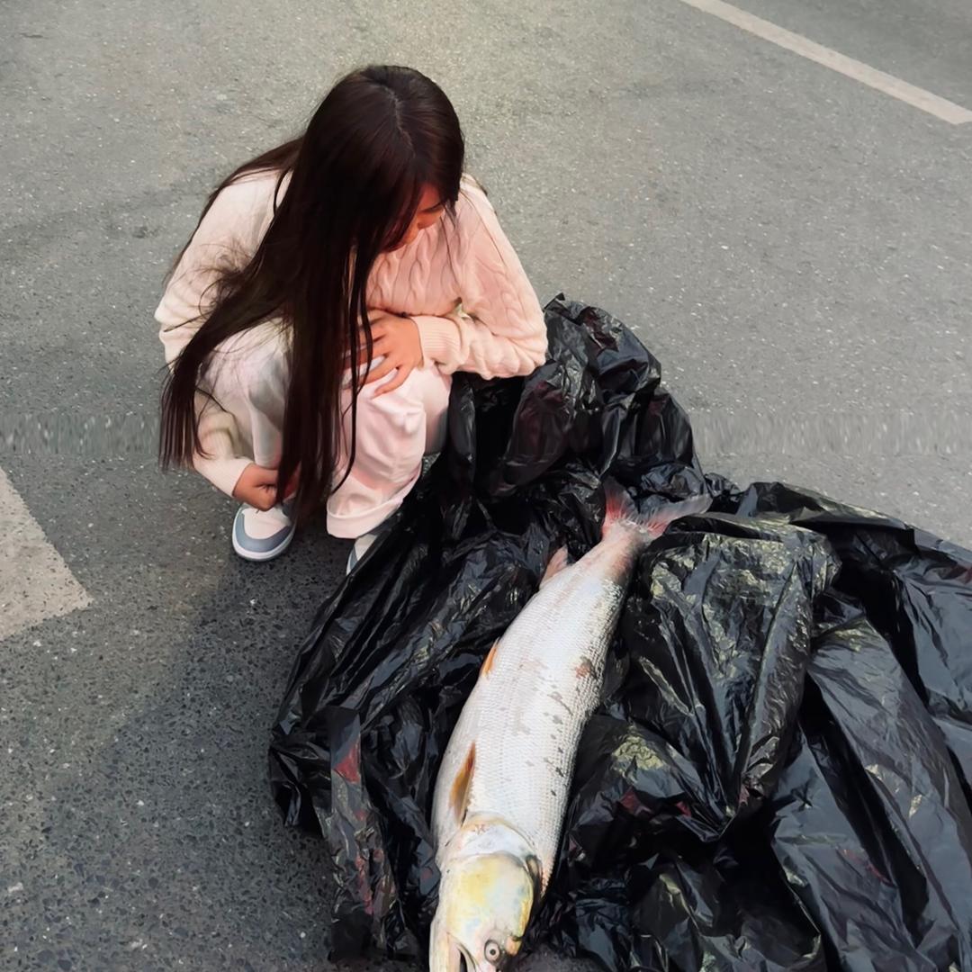翻斗花园小美🎣