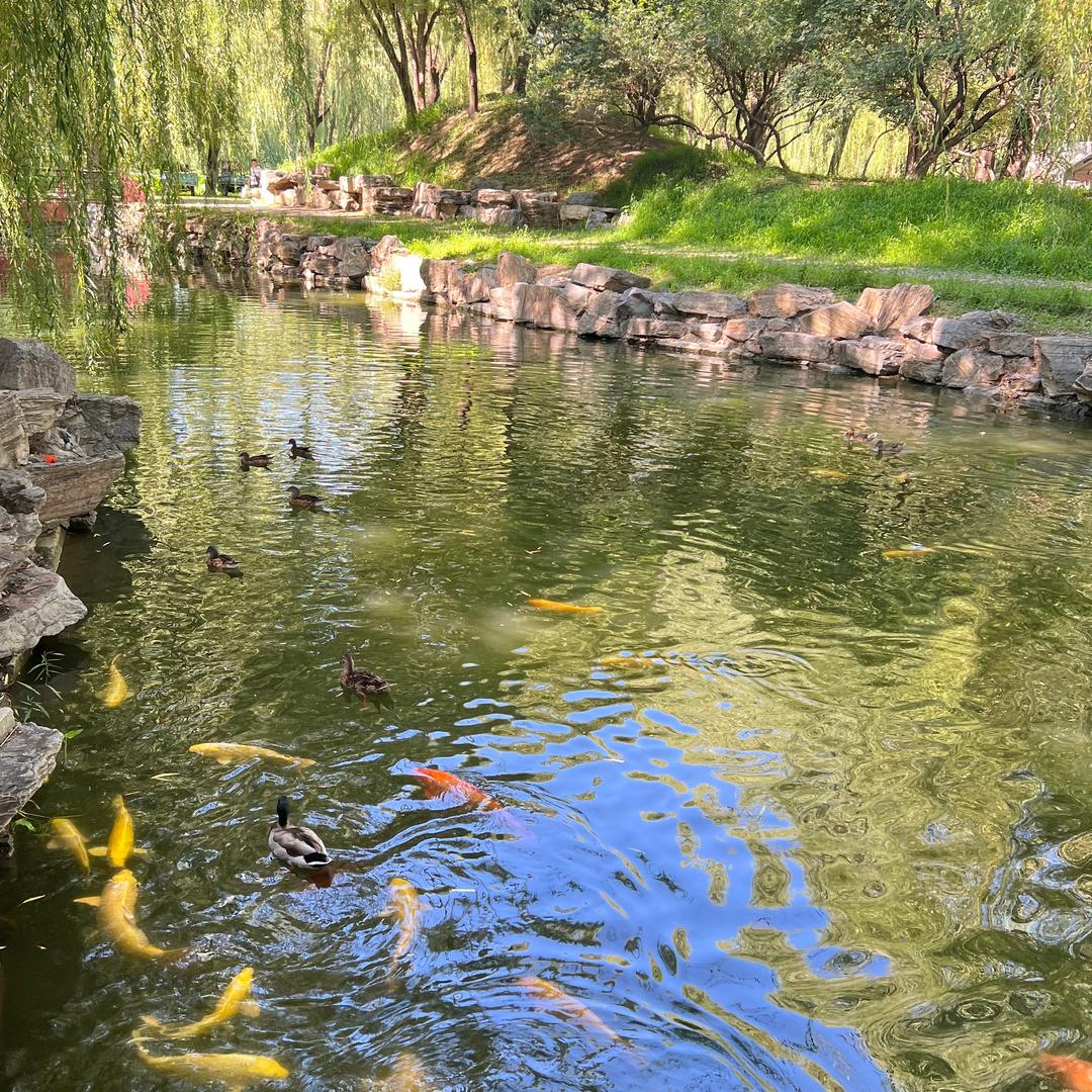 🌿何婷婷🪷