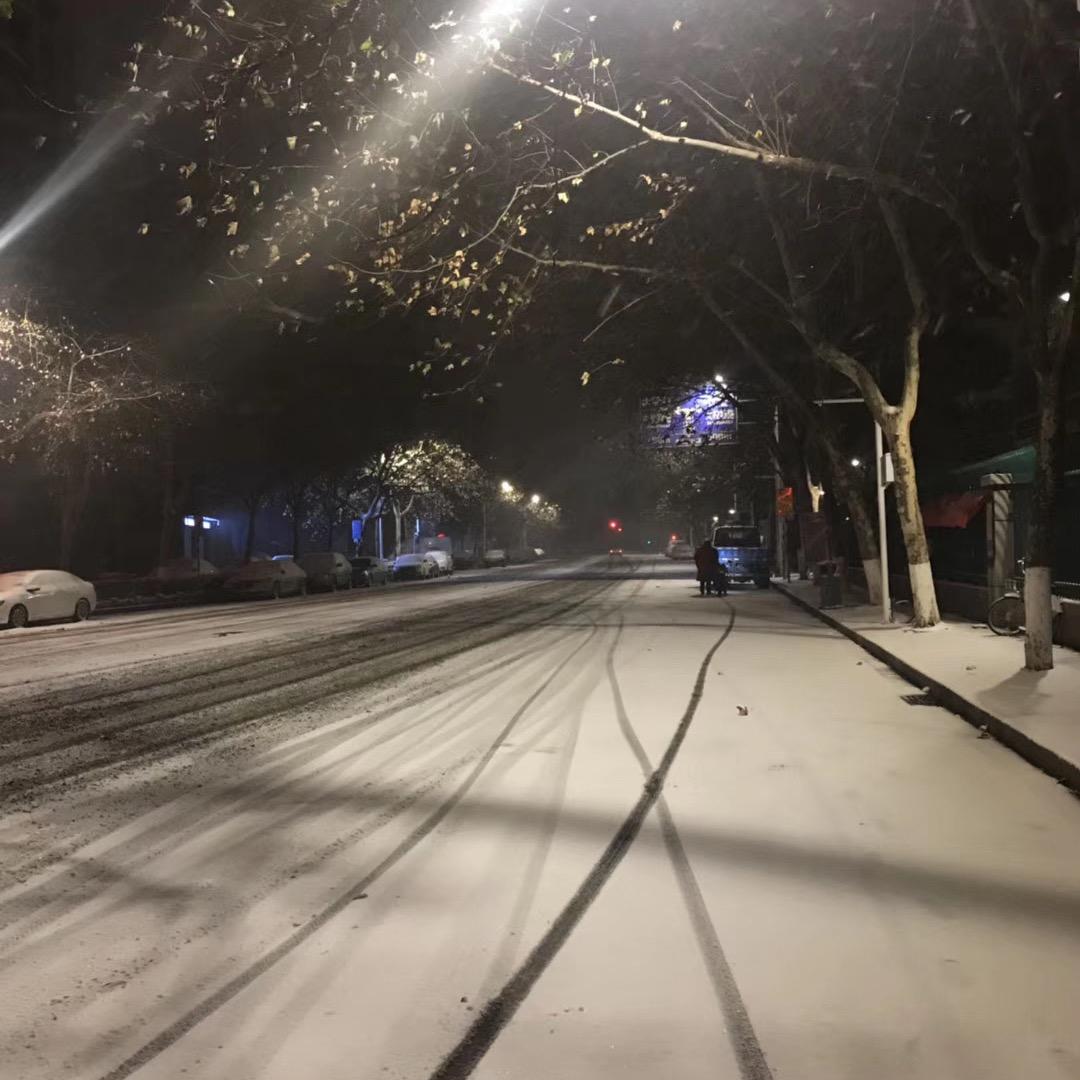 小柏