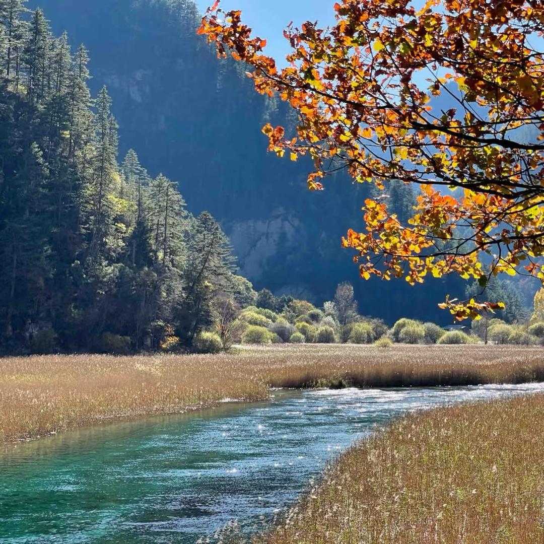 哒哒（大龄剩男）