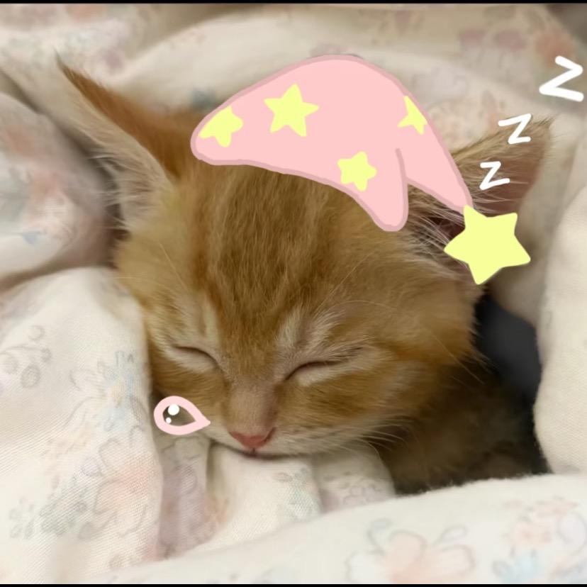 冰块不冰