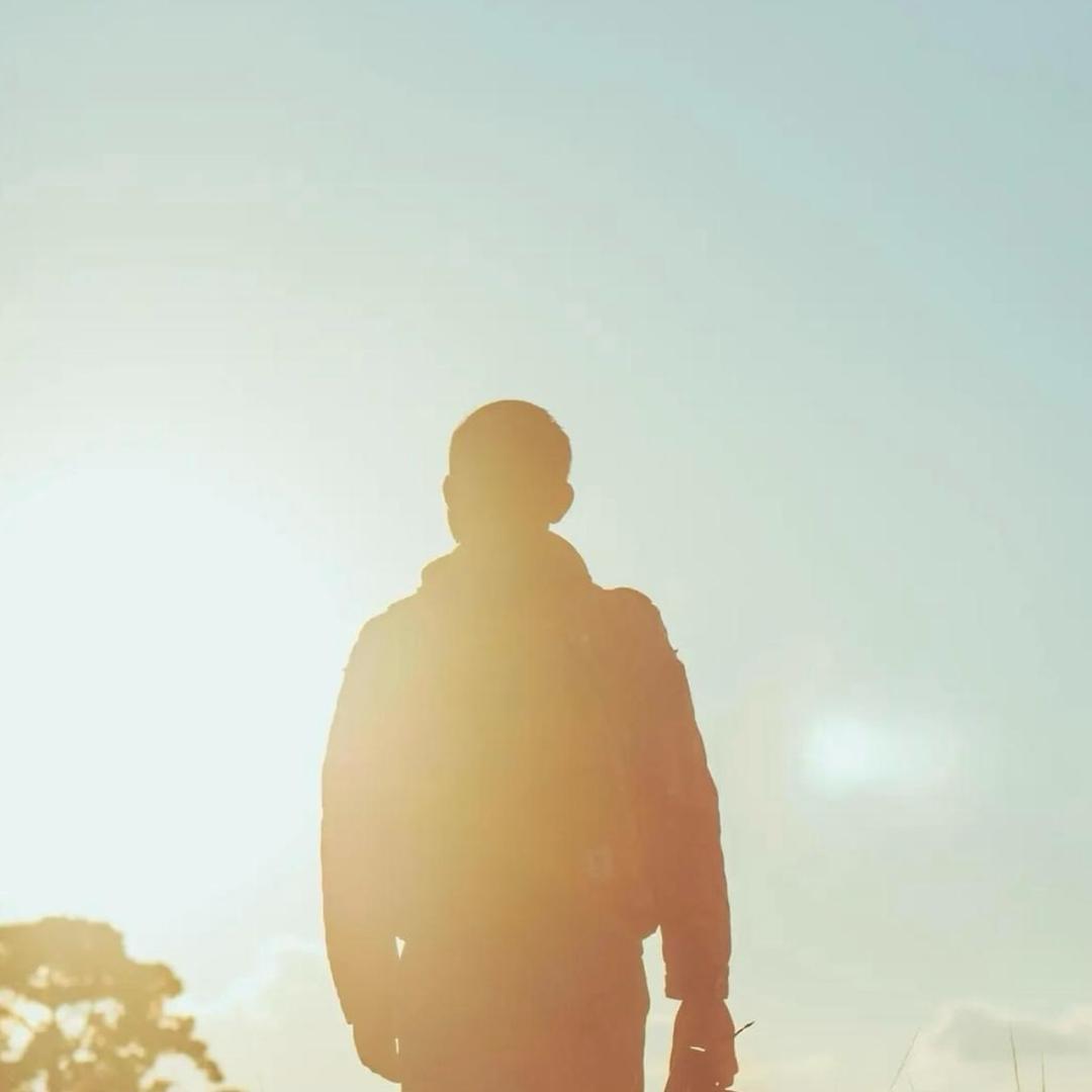 闲着也是闲者🧚‍♀️