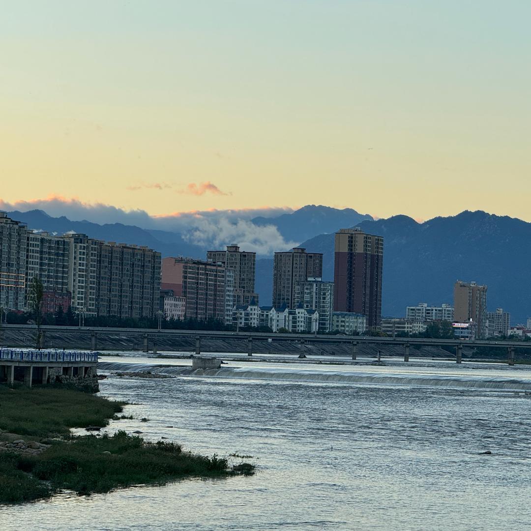 春桐小憩