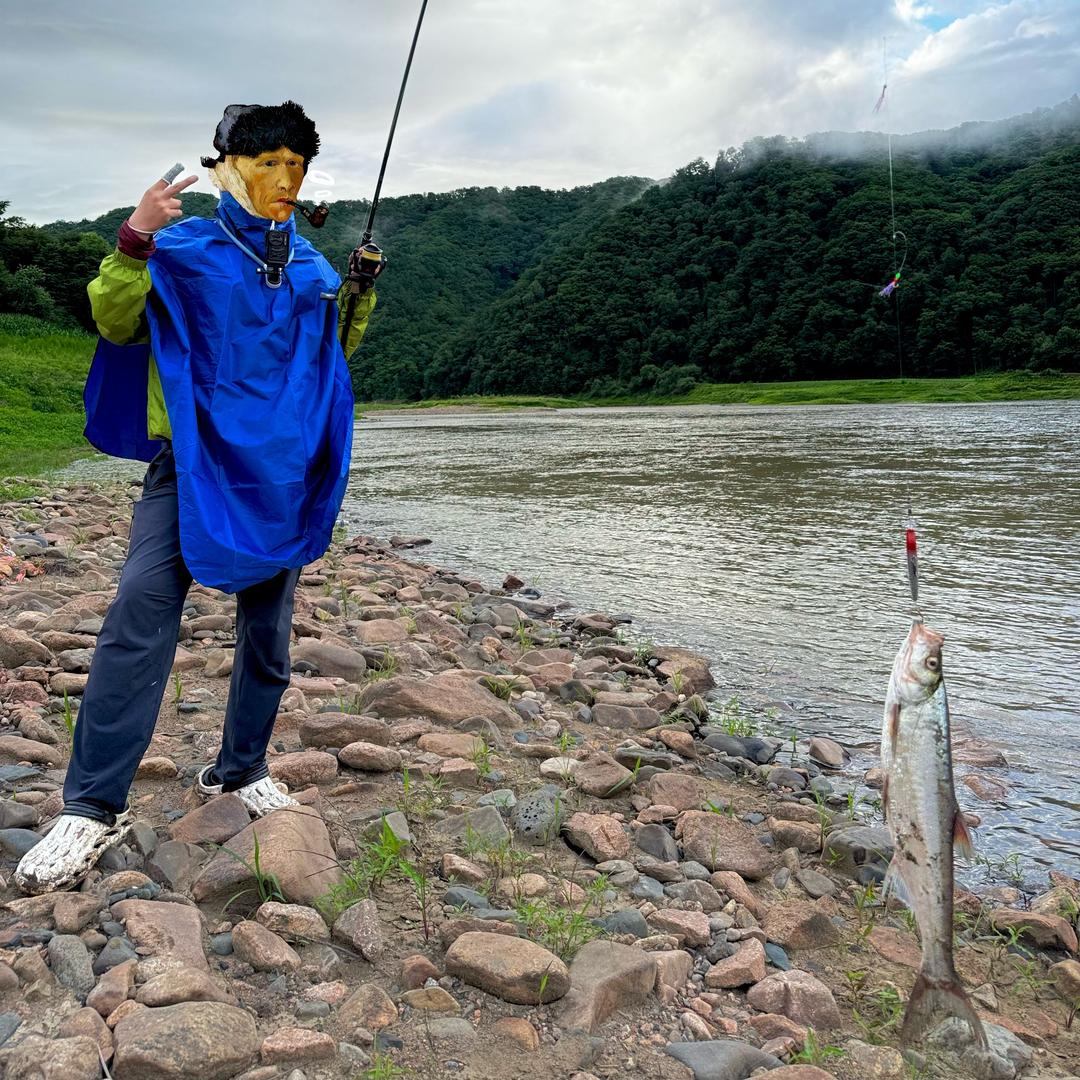 王鱼鱼（钓鱼日记🎣）