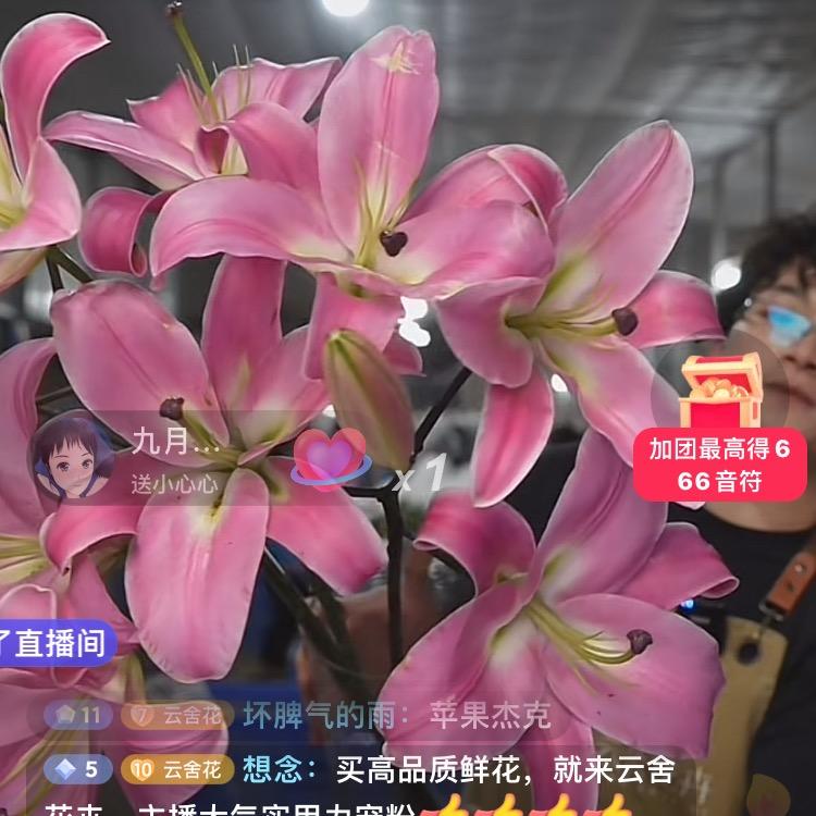 芊芊