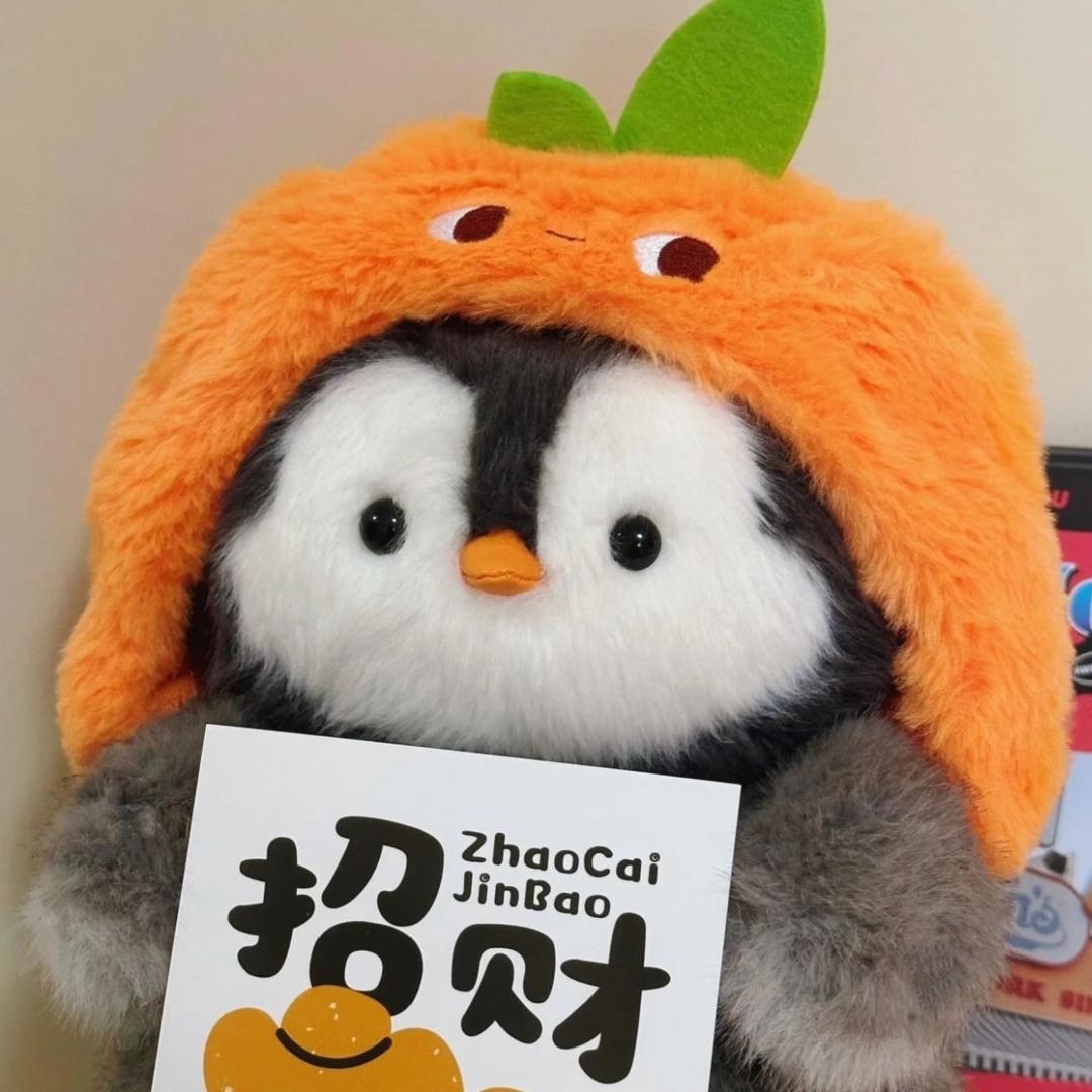 拥护小学生橘子