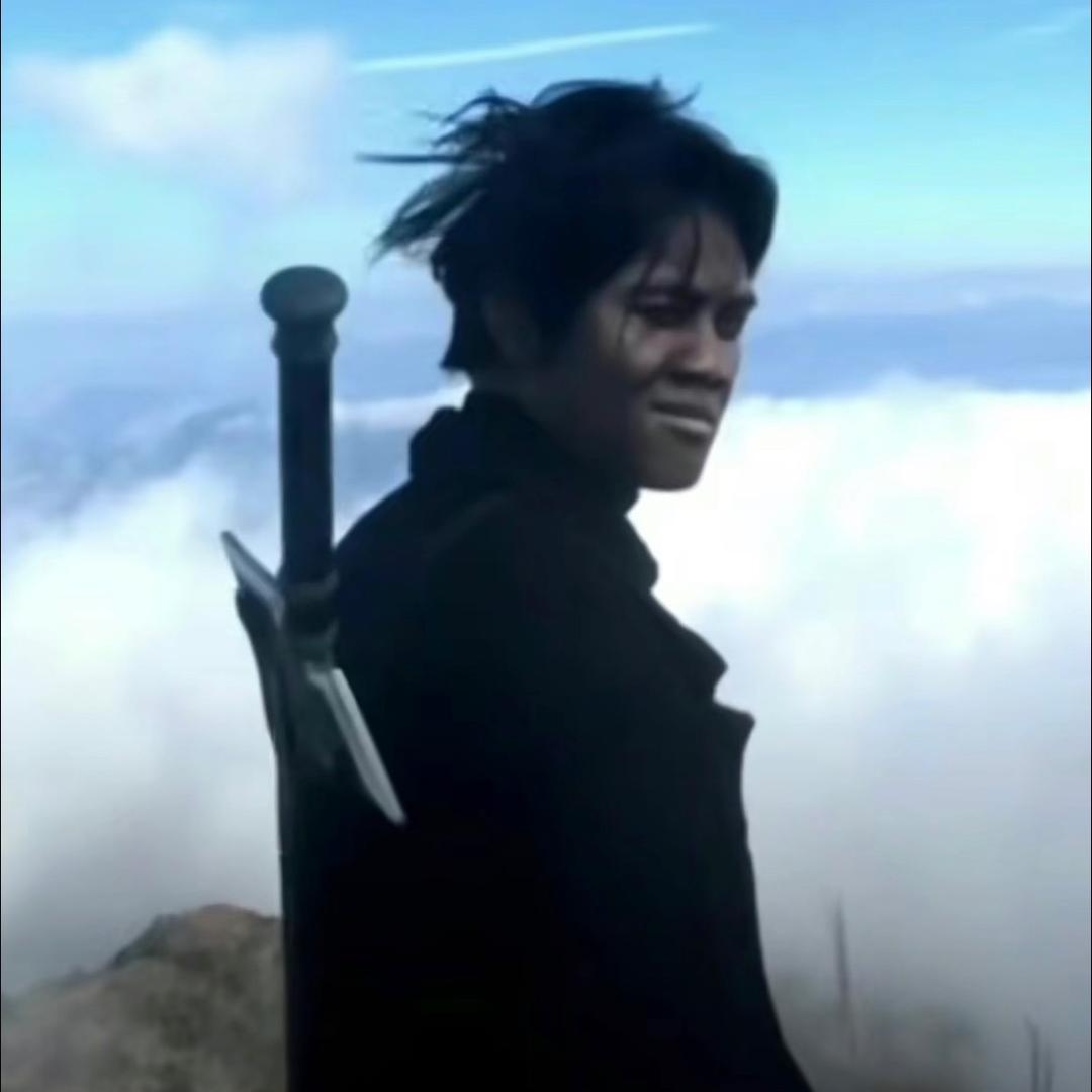 鱼系雾扰