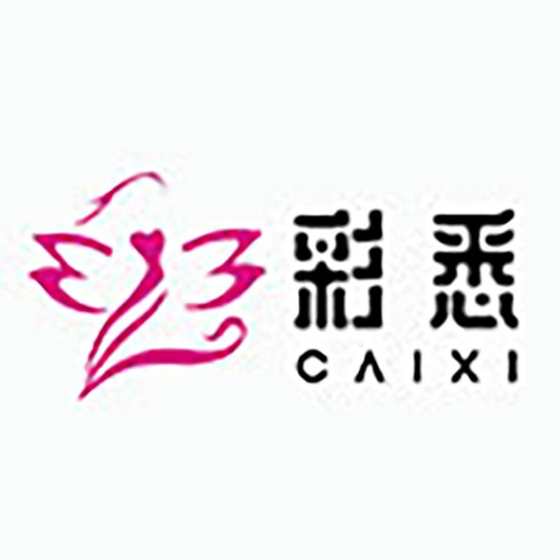彩悉女装旗舰店