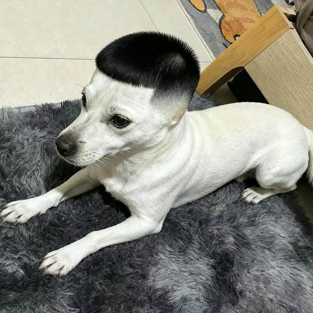 ￴ㅤ￴￴ ￴￴￴ㅤ