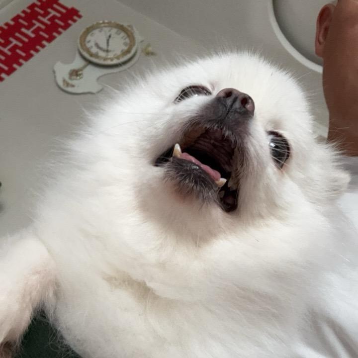 电影猎手