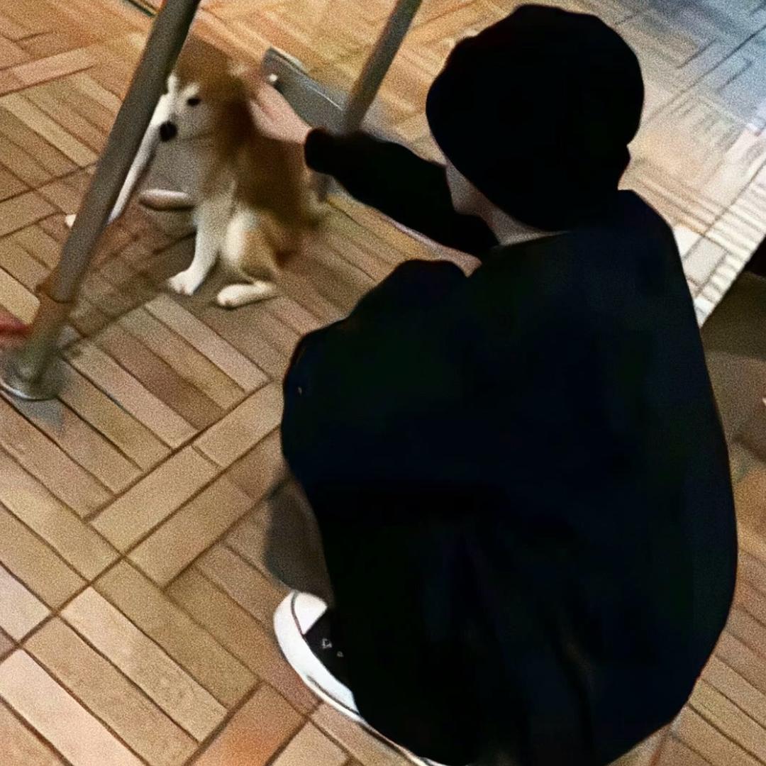 拜拜