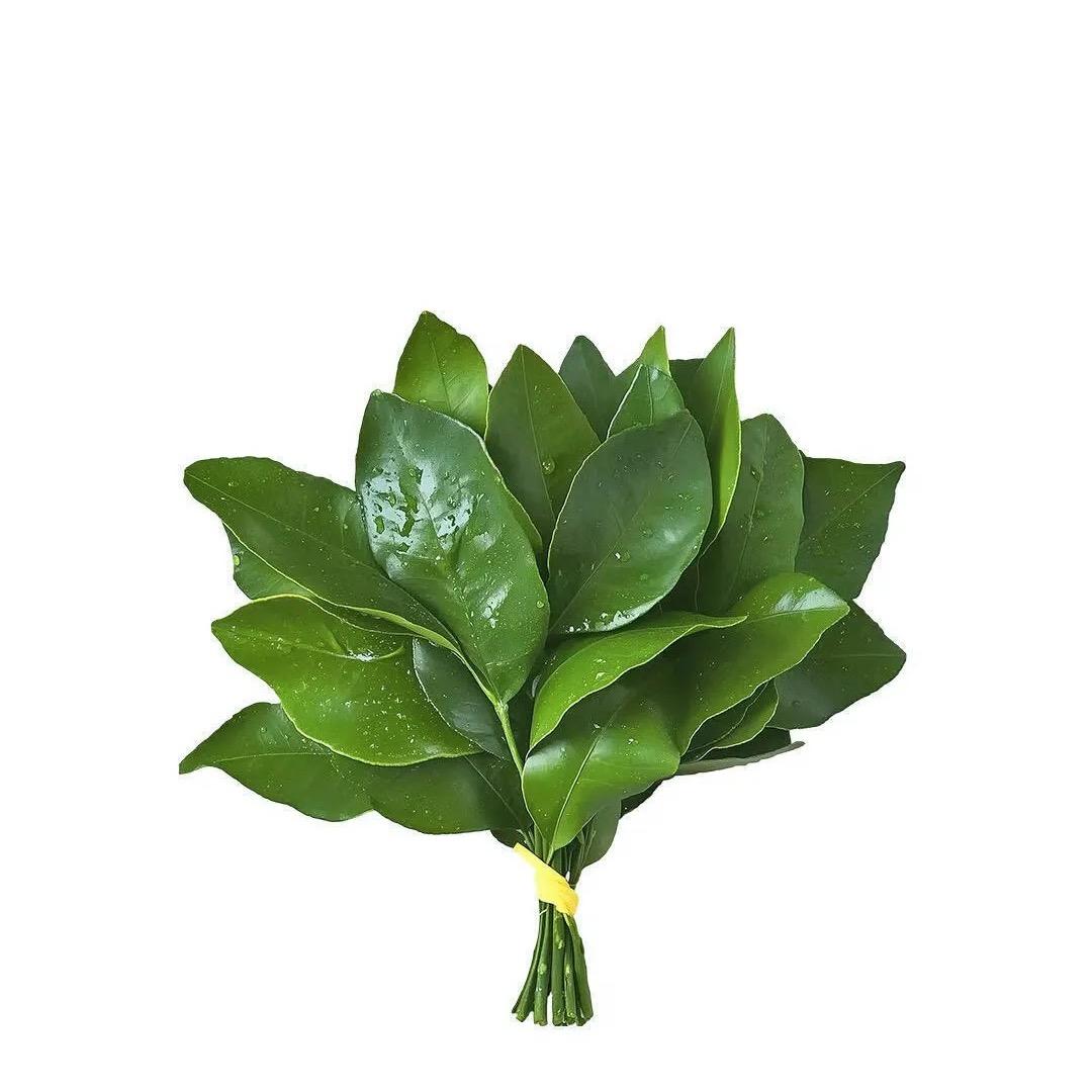 9 roses-