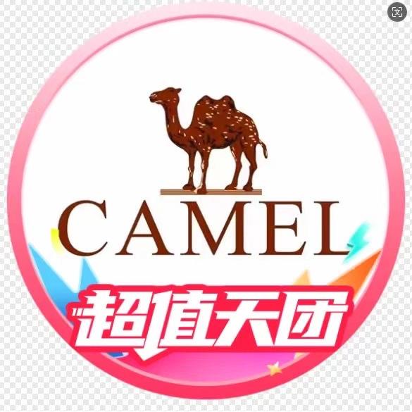 骆驼户外运动旗舰店